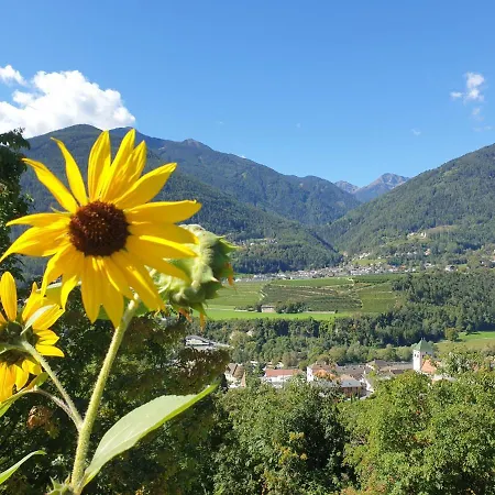 Private Garden In Atemberaubender Landschaft *